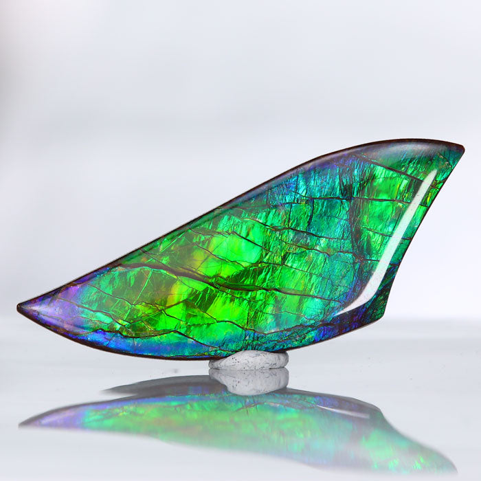 Freeform Cabochon Ammolite 30.54cts