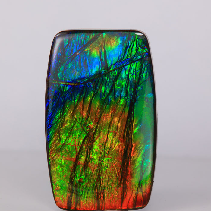 Antique Cushion Ammolite Fossil/Gemstone 