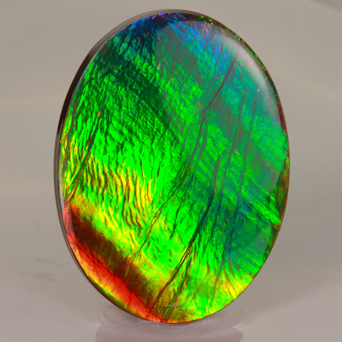 Bright Colorful Ammolite Gemstones multicolor
