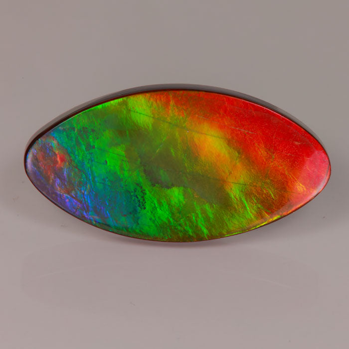 Ammolite Gemstone from Alberta Canada Oval Marquise Cabochon