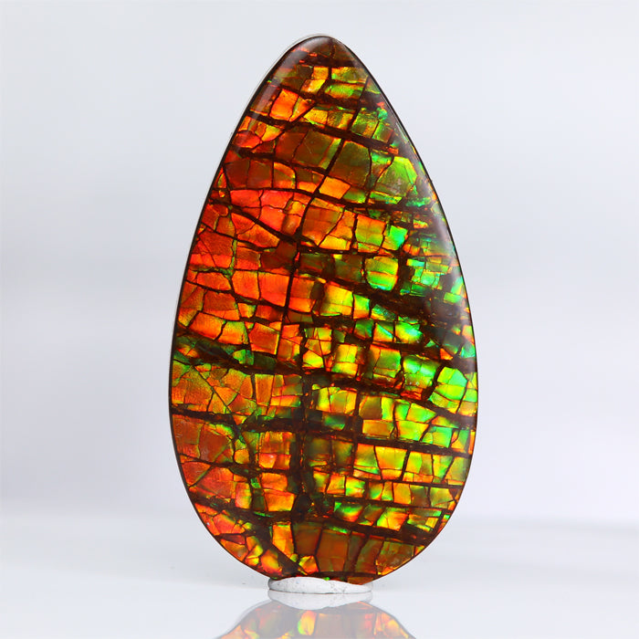 Pear Shape Cabochon Ammolite