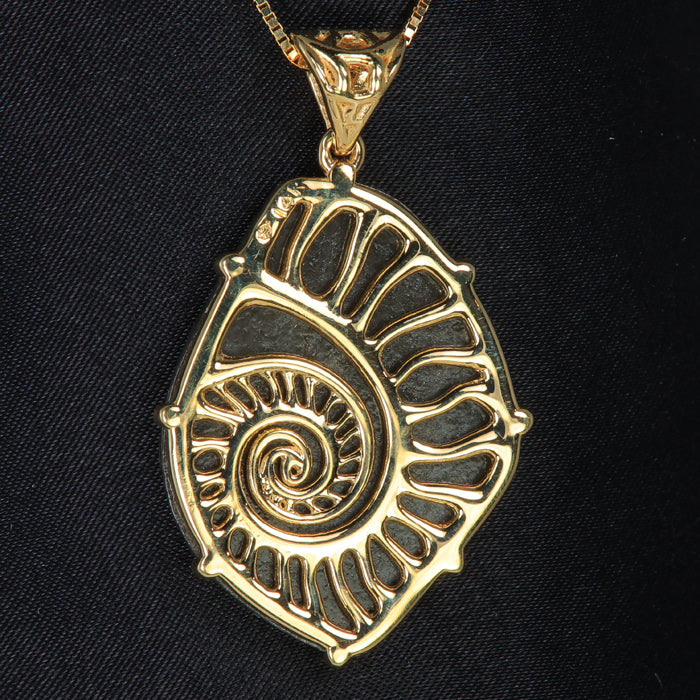 14K Yellow Gold Ammolite Pendant