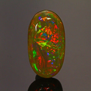 Black with Vivid Color Ethiopian Welo Opal  Gemstone 13.27 Carats