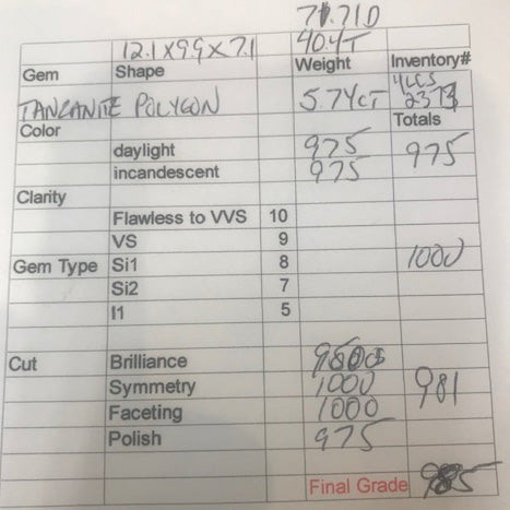 Blue Violet Stepped Polygon Tanzanite Gesmtone 5.74 Carats