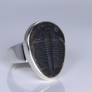 Sterling Silver Trilobite Ring
