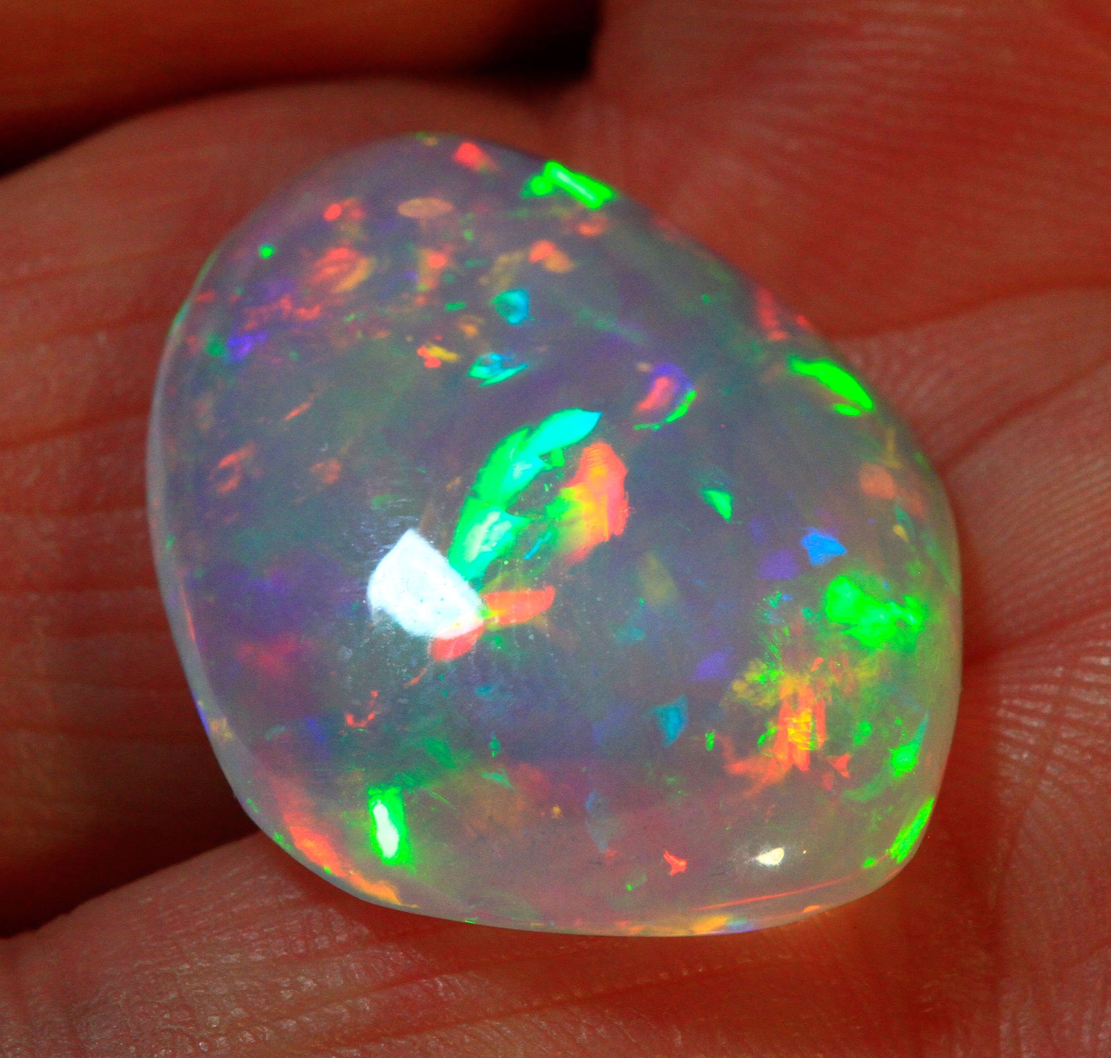 opal-1441