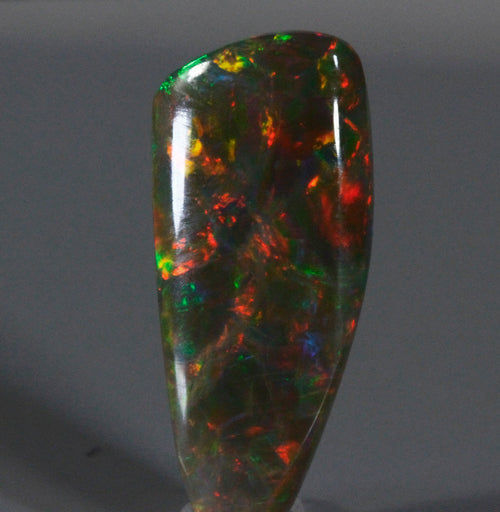 Black With Vivid Colors Freeform Welo Opal 5 Carats