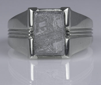 Christopher Michael Designed Ring With Muonionalusta Meteorite