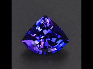 Blue Violet Shield Tanzanite Gemstone 11.53 Carats
