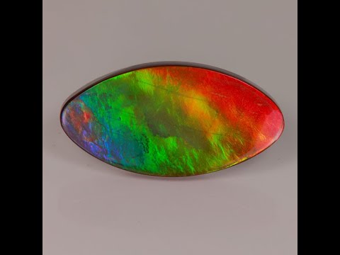 Vibrant color ammolite oval gemstone