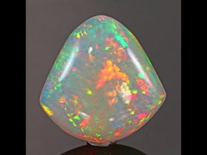 Vivid Colors Shield Shape Welo Opal  Gemstone 29 Carats