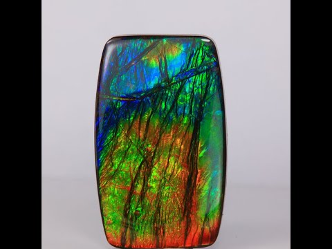 Antique Cushion Ammolite Fossil/Gemstone 32.90cts*