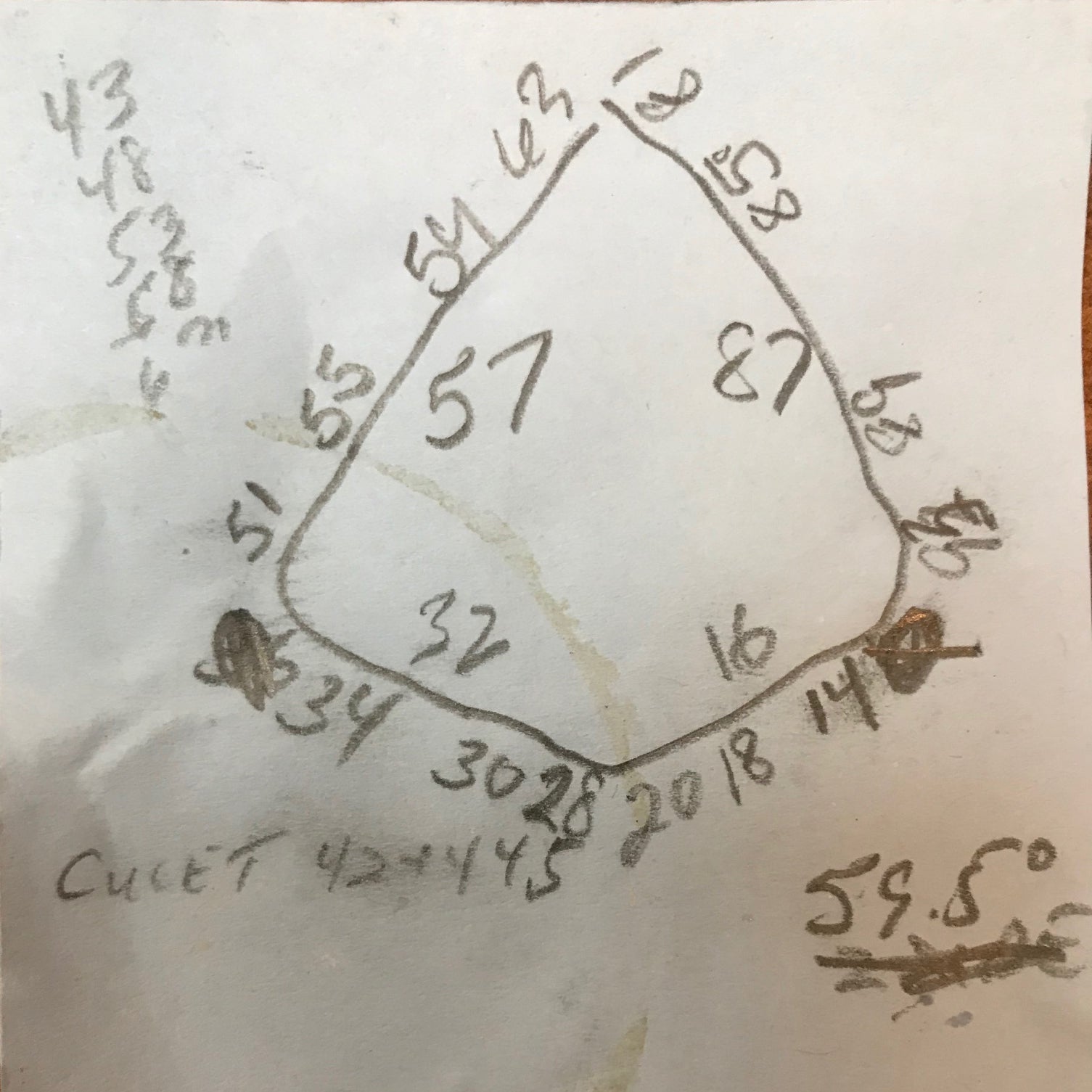 Golden Yellow Shield Scapolite 40.42 Carats